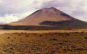 payunia