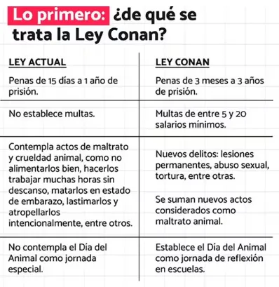 Ley Conan