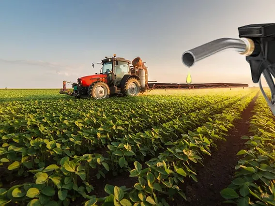 11c77a_4bc8a68c910d4647a204a9a6a8a66397~mv2