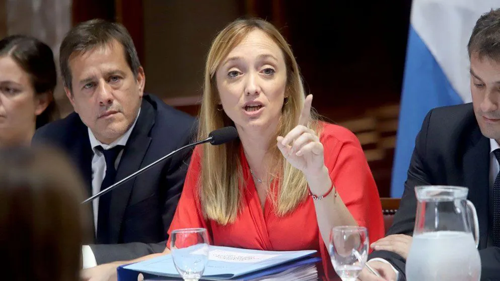 anabel-fernandez-sagasti-senadora-nacional-argentina-bicameral-dnu (1)