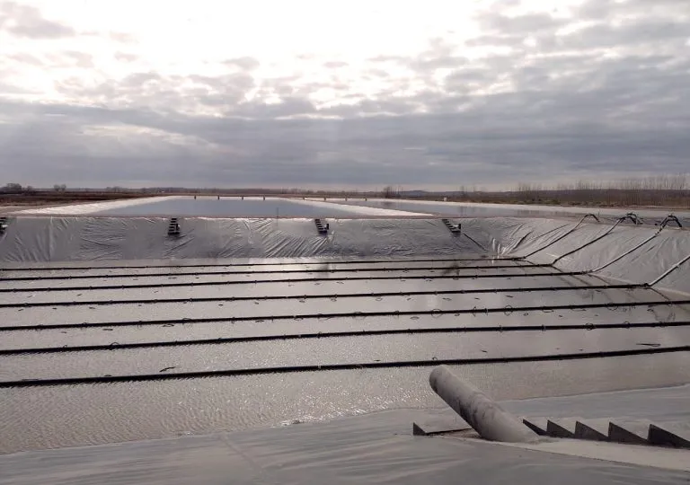 WhatsApp-Image-2024-08-19-at-09.59.54-768x540-1