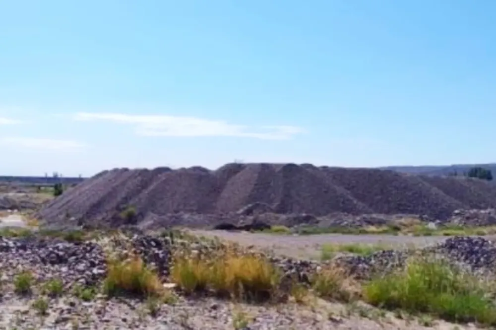 InShot_20250119_090357340