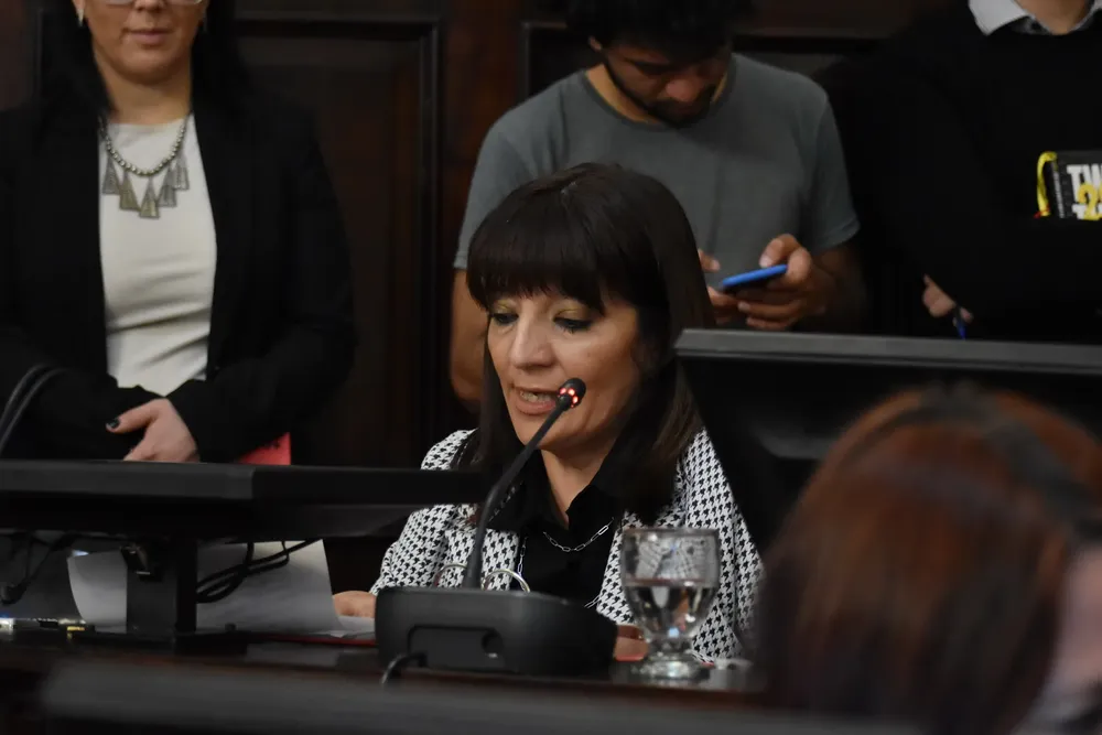 claudia salas diputada