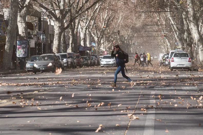 viento-zonda-invierno-hojas-tierra-alergias-ramas-caidas