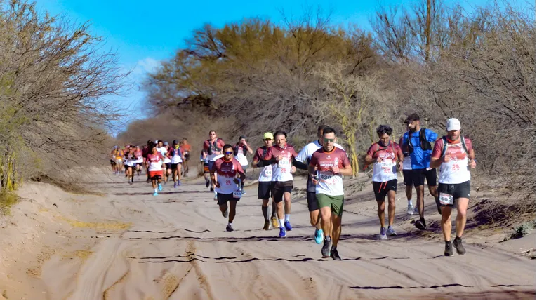 Screenshot 2025-05-07 at 16-09-10 DSC_1508-scaled.jpg (Imagen JPEG 2560 × 1440 pixels)