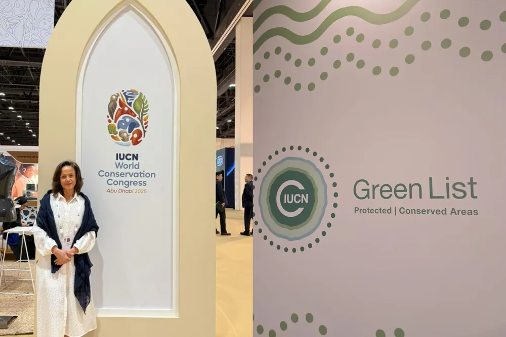 InShot_20251013_225351517