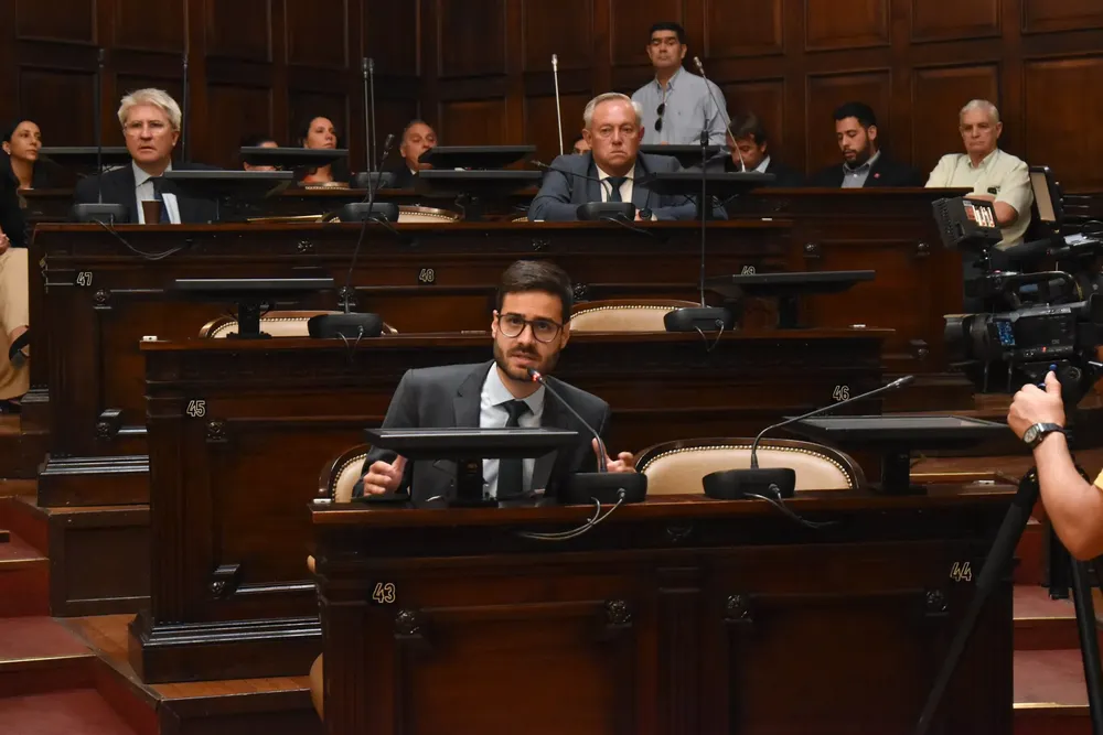 diputados electos2