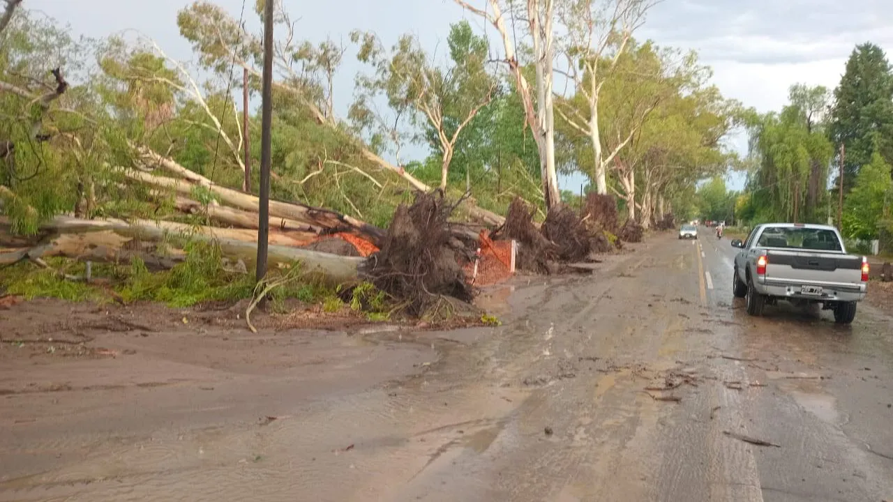 WhatsApp-Image-2026-01-30-at-20.06.13-e1769815392306