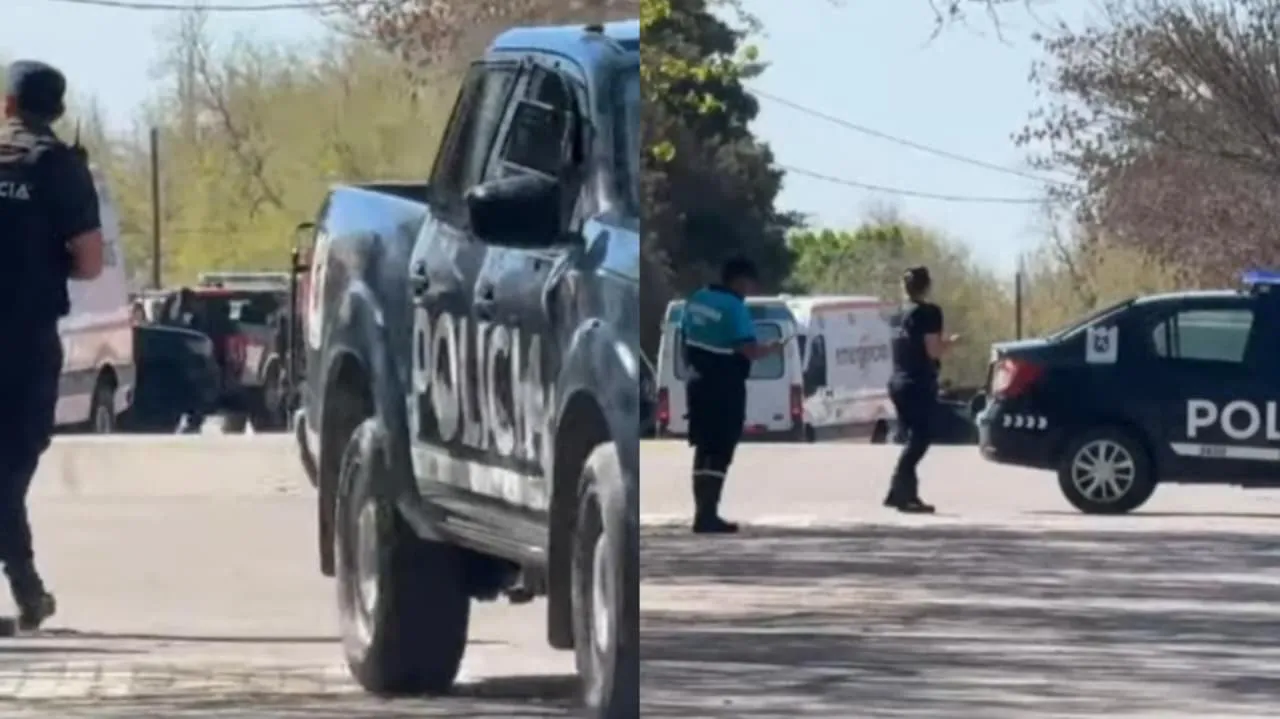 WhatsApp Image 2025-09-10 at 15.31.25