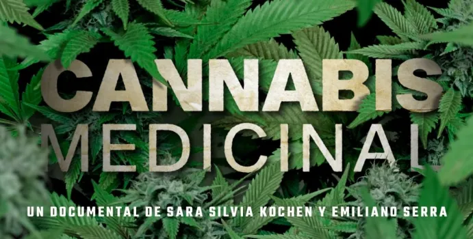 Cannabis11