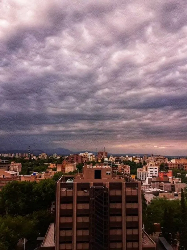 6038544853d63_720_960!