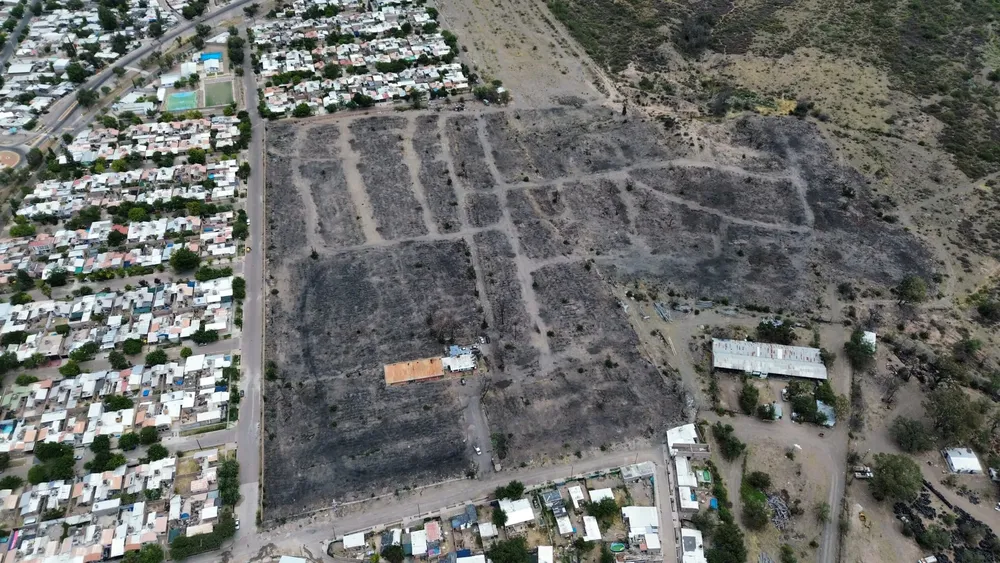 WhatsApp-Image-2025-01-08-at-14.10.58-scaled