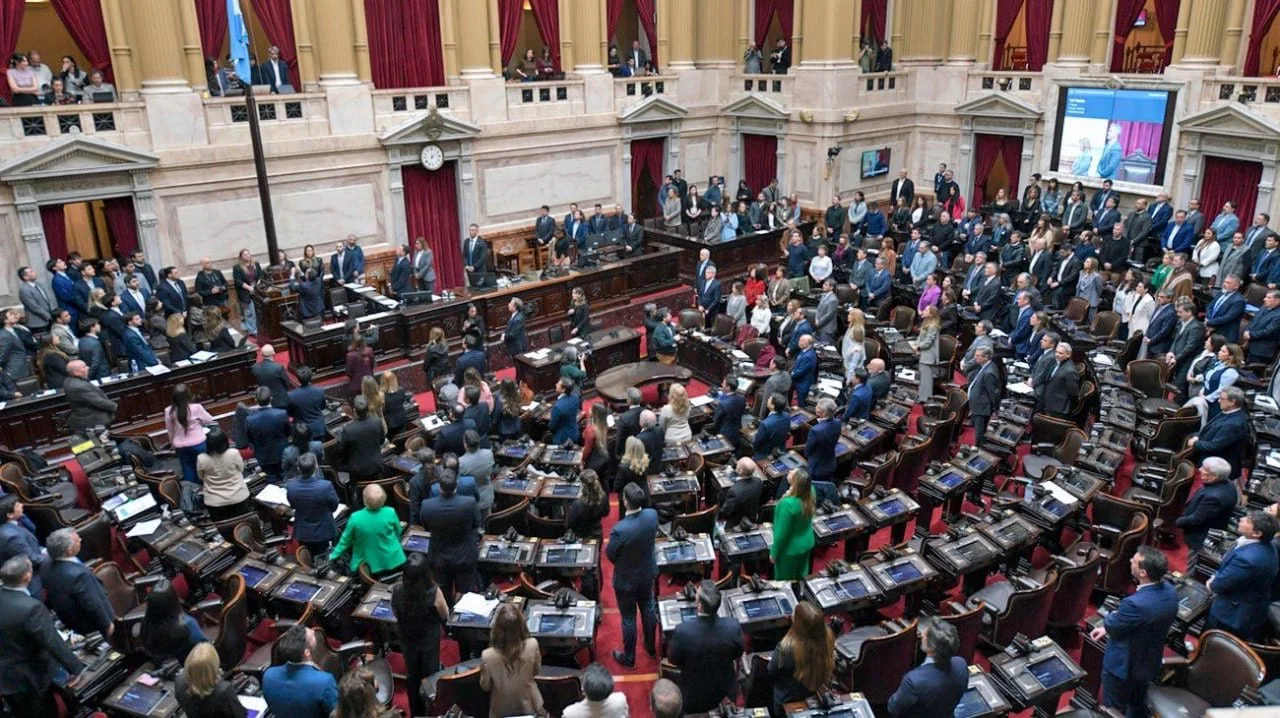 diputados-congreso-reforma-electoral-malvinas