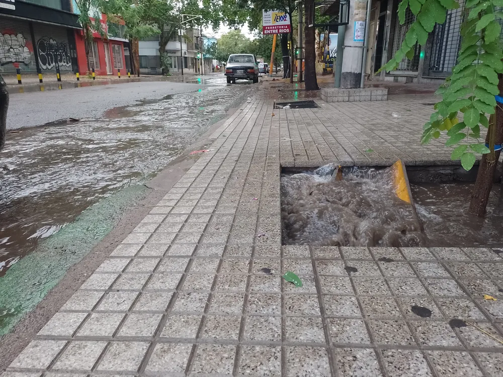 IMG_20250127_100320_202