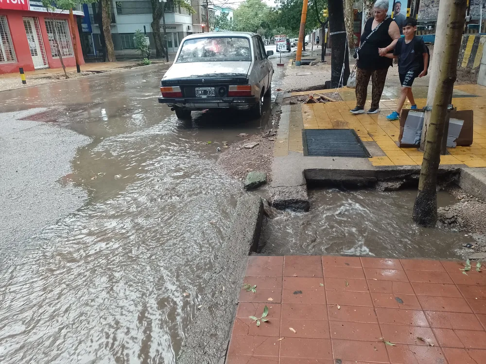 IMG_20250127_095842_286