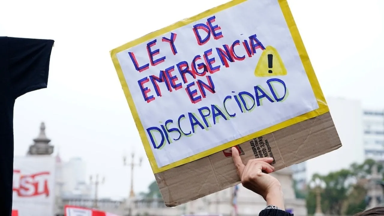 ley-emergencia-discapacidad_large