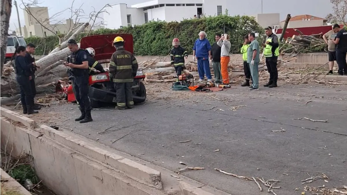 accidente-arbol-maipu-viento