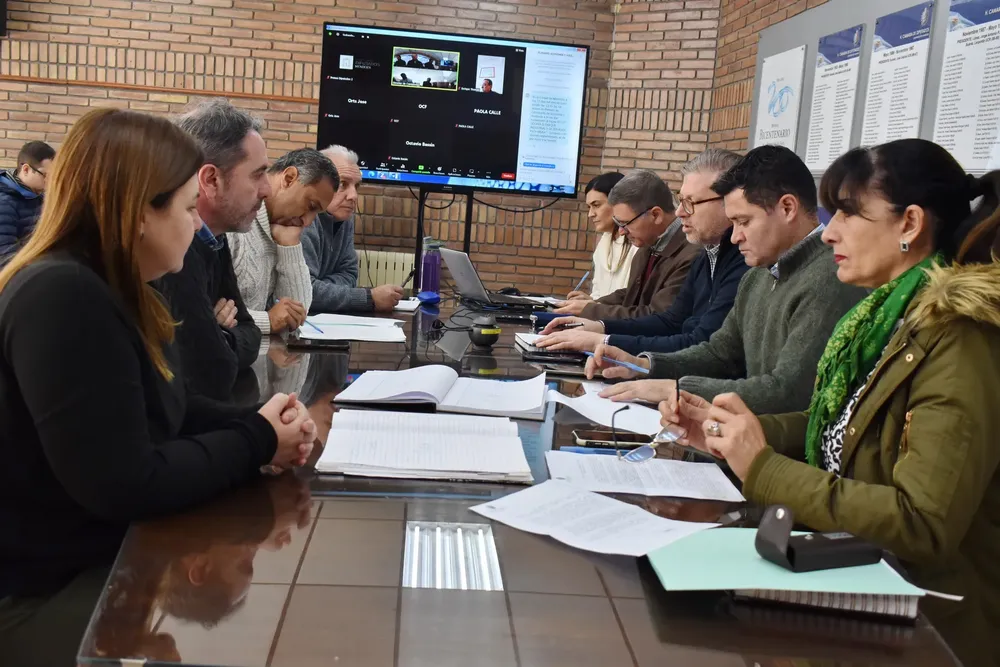 pata mora comisiones