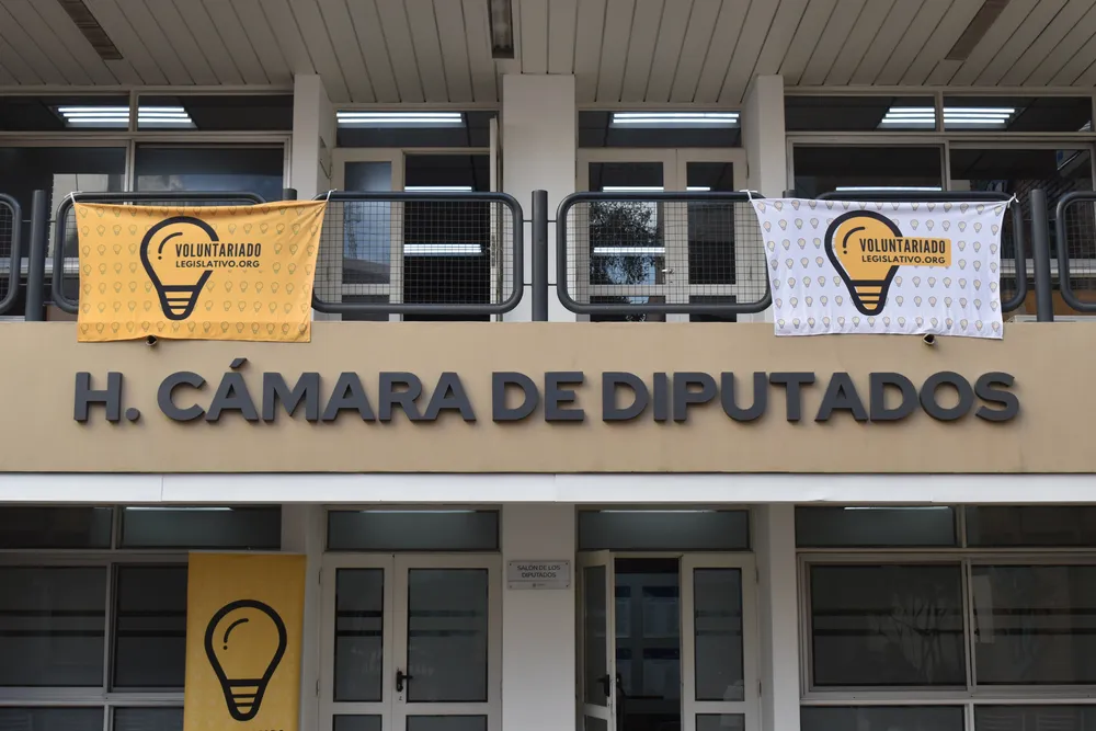 voluntariado diputados