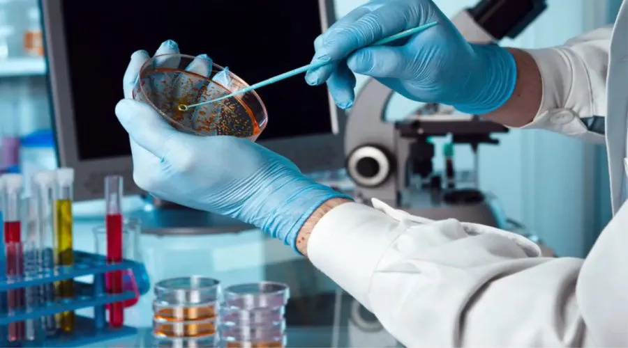 biotecnologia-industrial-aplicacion