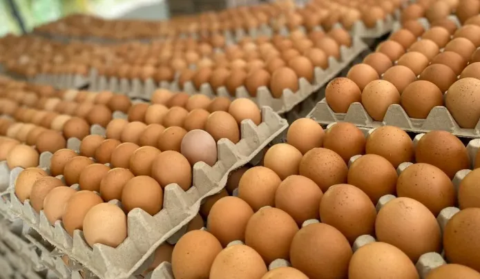 Huevos