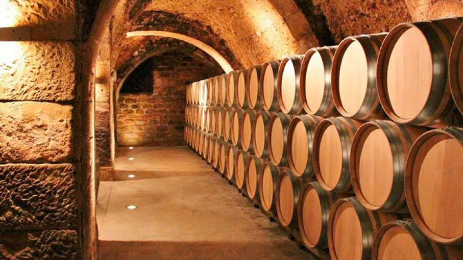 bodegas de argentina