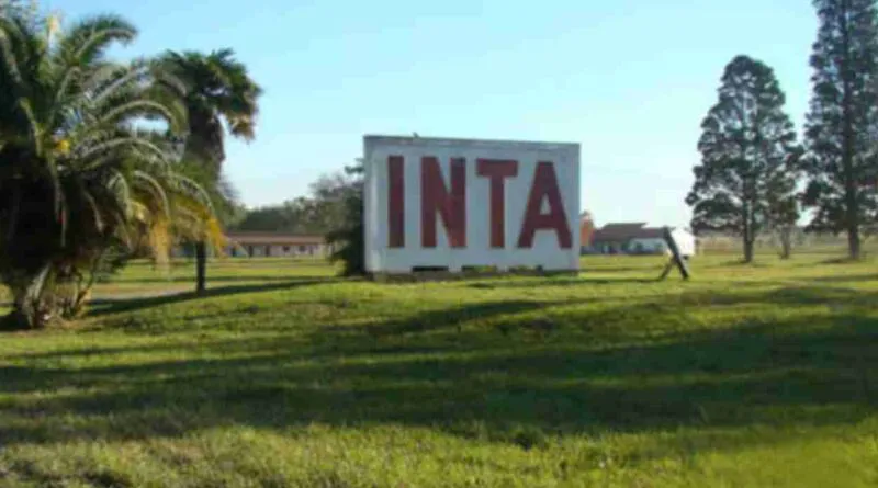 Portadas-dCN-60-800x445