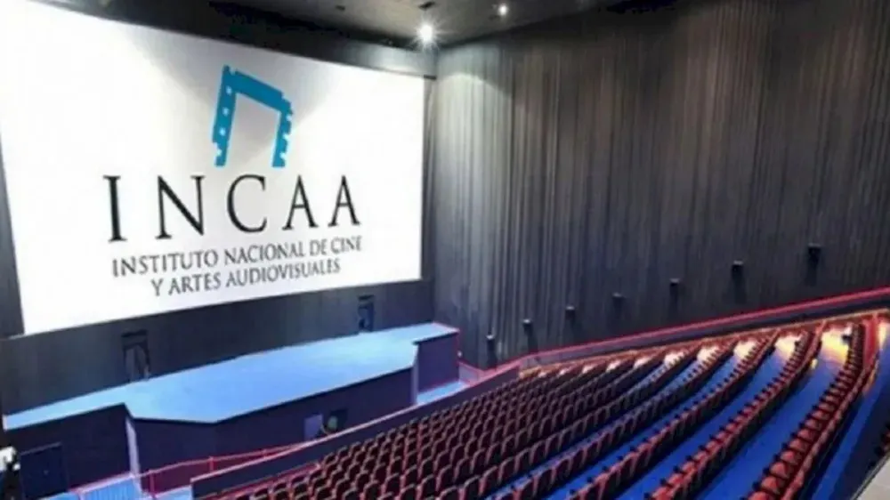 Denuncian-que-el-Incaa-no-aprobo-ninguna-produccion-en-el-2024-optimized