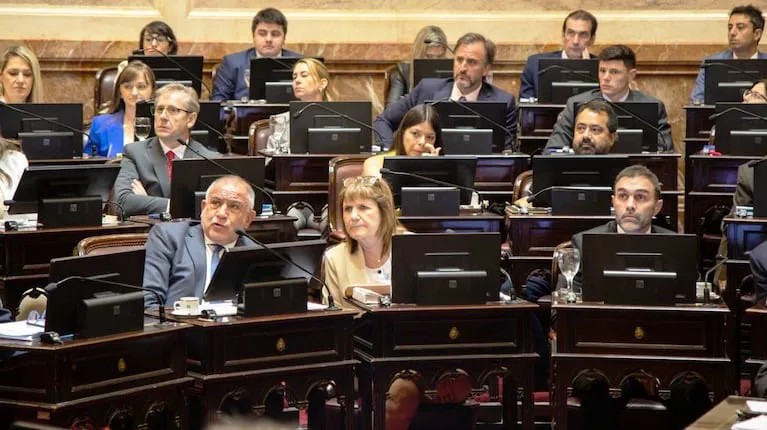 congreso-con-las-reformas-laboral-y-penal-en-el-centro-del-debate-comienzan-las-sesiones-extraordinarias-foto-x-patobullrich-K2RYAMCHZNGWNPUV7LDTRLW2PQ