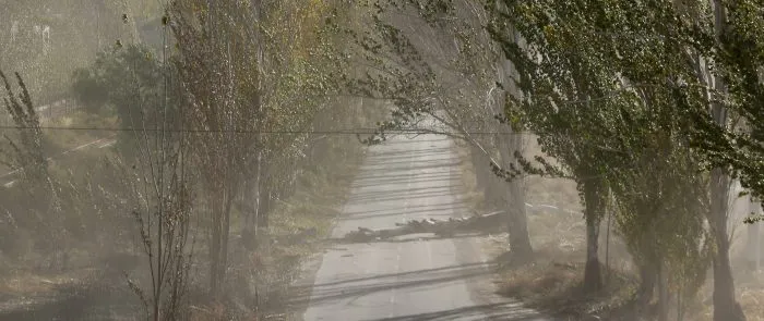 Viento-Zonda-700x295