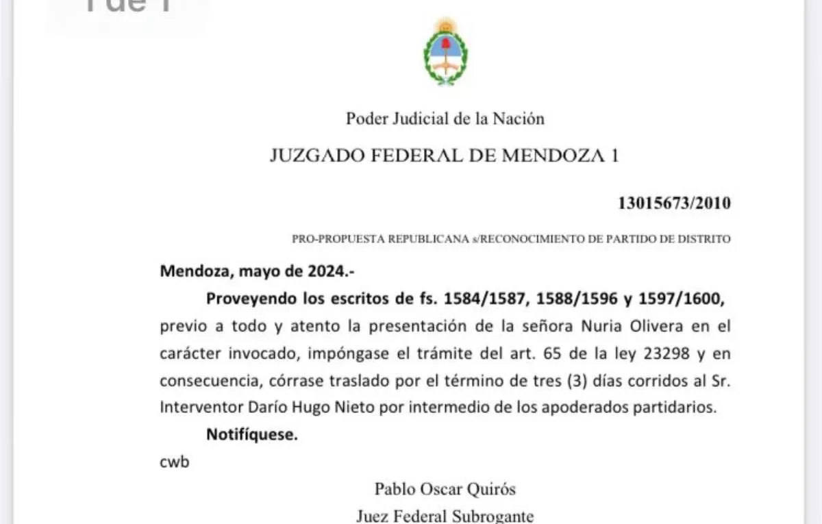 resolucion-juzgado-federaljpg